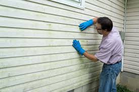 Best Aluminum Siding Installation  in Rosebud, TX